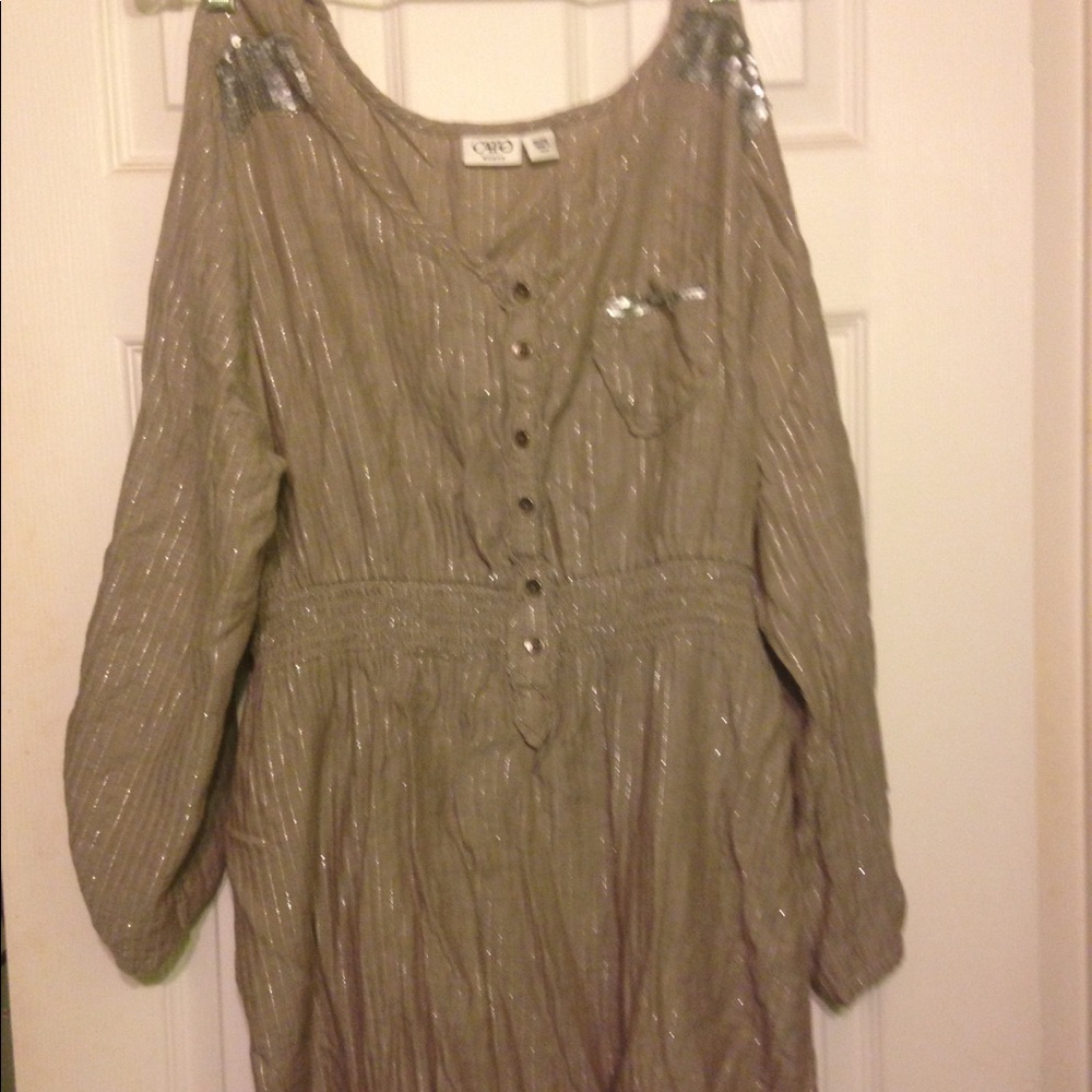 Shimmery Pullover Blouse